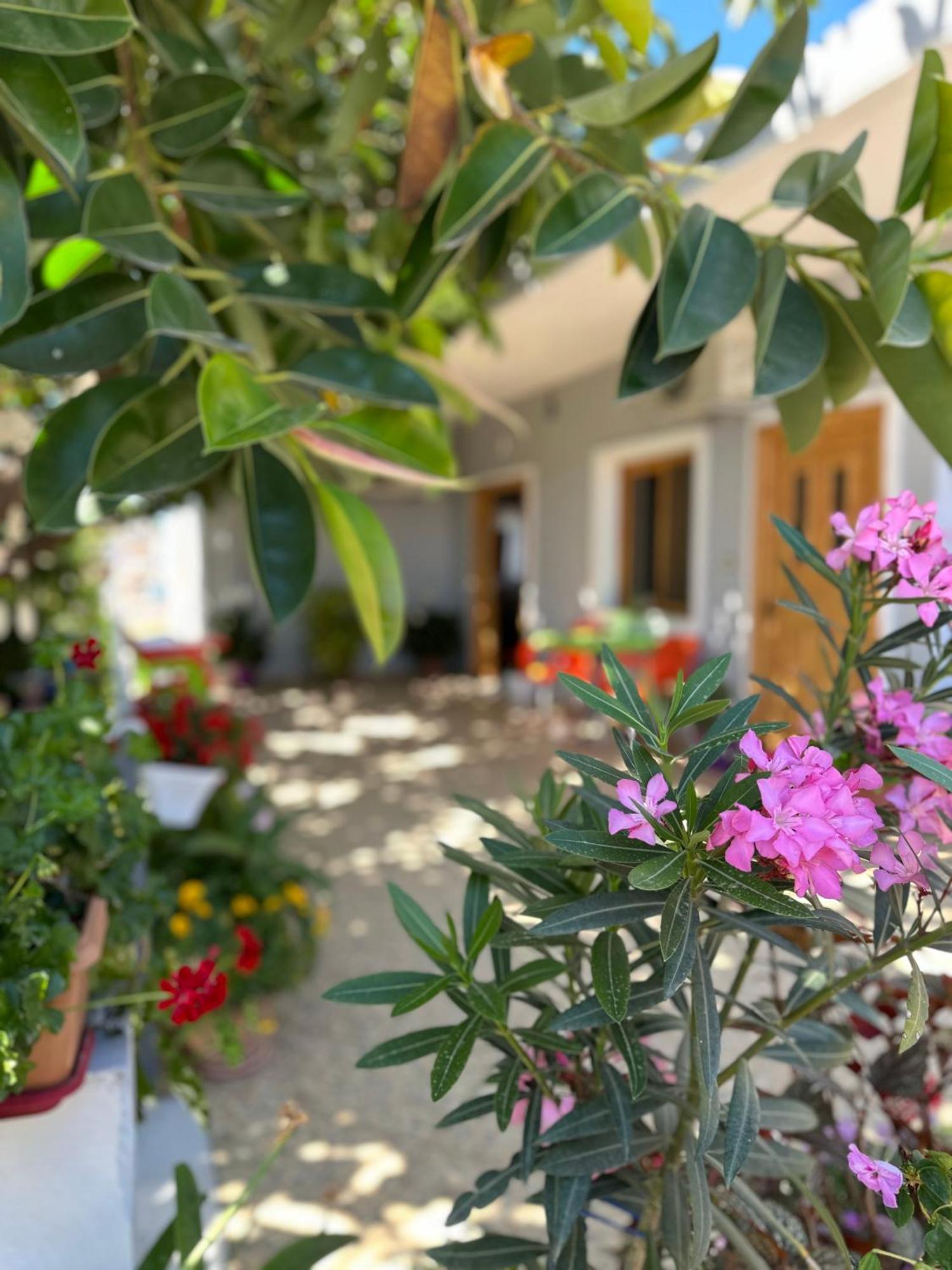 Albi'S Guesthouse Ksamil Exterior photo